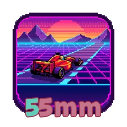 55mm
