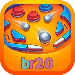 br20